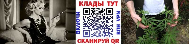 Где найти наркотики Сегежа Кокаин  Мефедрон  Галлюциногенные грибы  KRAKEN онион  ГАШИШ  Канабис 