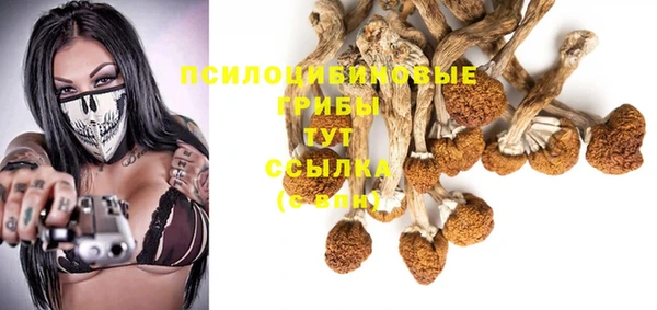 ПСИЛОЦИБИНОВЫЕ ГРИБЫ Ельня