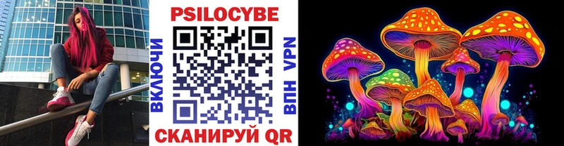 Псилоцибиновые грибы Psilocybe  закладки  Сегежа 