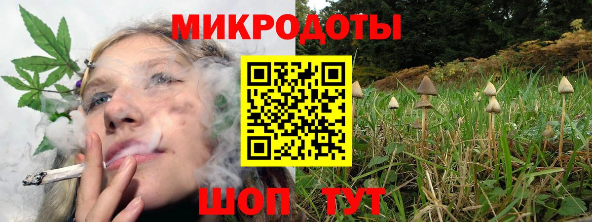 Псилоцибиновые грибы Psilocybe  Вход с VPN  Сегежа 