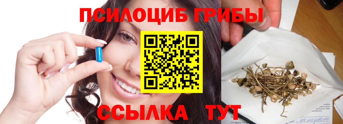 Галлюциногенные грибы мицелий Сегежа
