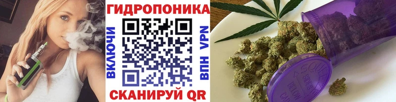 Бошки марихуана White Widow  продажа наркотиков  ОМГ ОМГ ССЫЛКА  Сегежа 